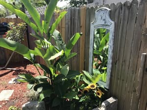 thumbnail: Property grounds