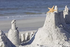 thumbnail: Beach