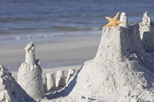 thumbnail: Beach