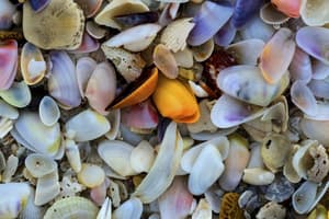 thumbnail: Food and drink