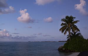 thumbnail: Beach