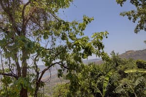 thumbnail: Mountain view