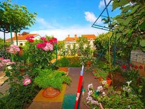 thumbnail: Terrace/patio