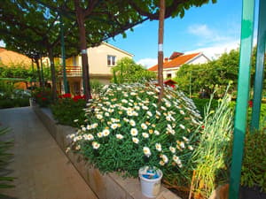 thumbnail: Terrace/patio