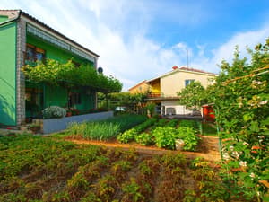 thumbnail: Garden