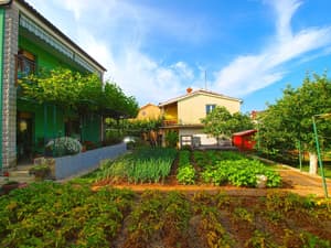 thumbnail: Garden