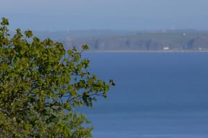 thumbnail: Beach/ocean view