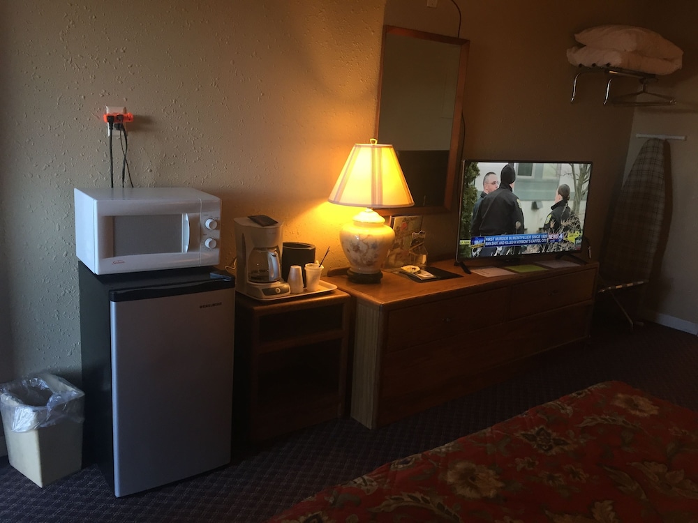Mini-refrigerator
