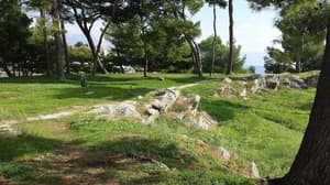 thumbnail: Property grounds