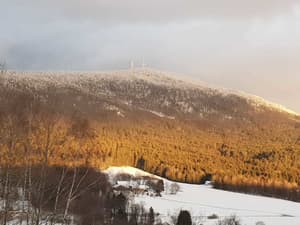 thumbnail: View from property