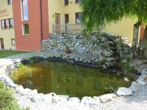 thumbnail: Property grounds