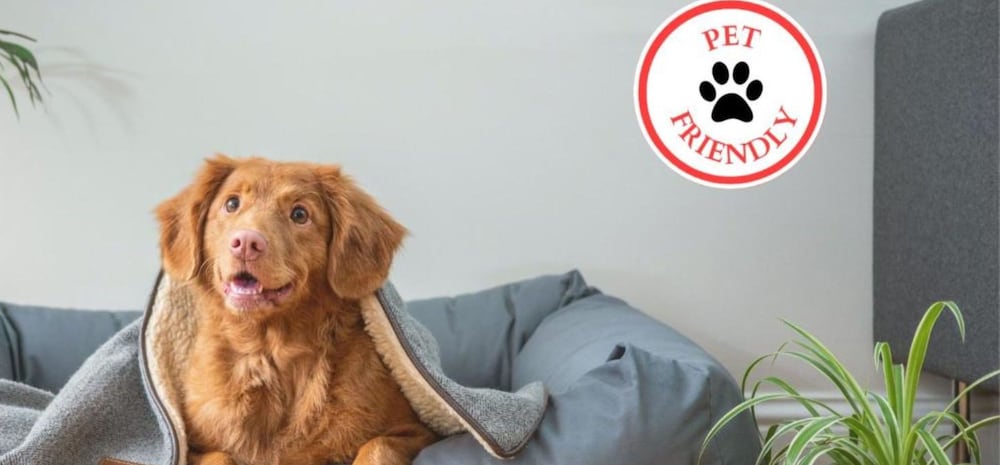 Pet-friendly
