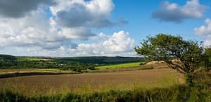 thumbnail: View from property