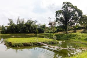 thumbnail: View from property