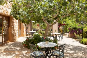 thumbnail: Terrace/patio