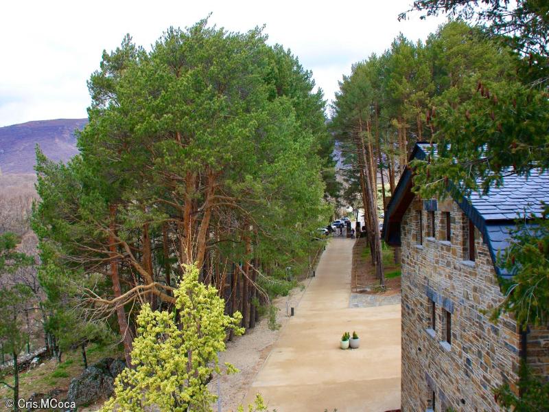 General view