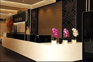 thumbnail: Reception