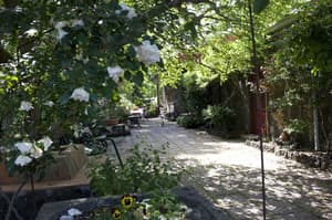 thumbnail: Property grounds