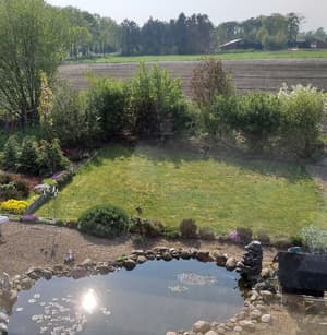 thumbnail: Garden view