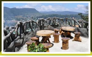 thumbnail: General view