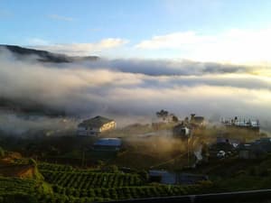 thumbnail: Sports and Entertainment