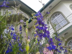 thumbnail: General view