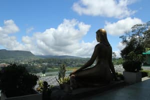 thumbnail: General view