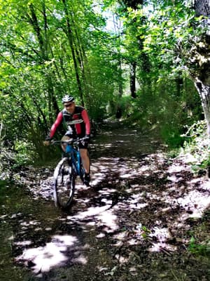 thumbnail: Bicycling