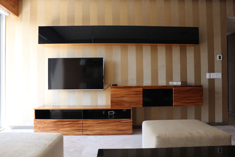 Television