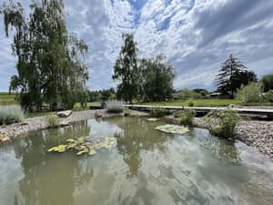 thumbnail: View from property