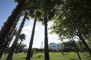 thumbnail: Property grounds