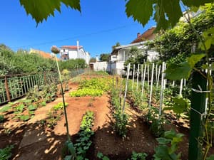 thumbnail: Front of property
