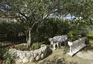thumbnail: Garden