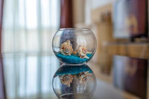 thumbnail: Interior detail