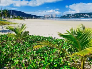 thumbnail: Beach