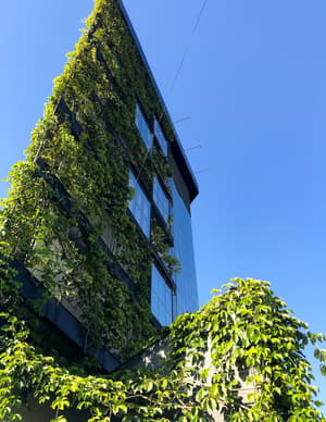 thumbnail: Exterior