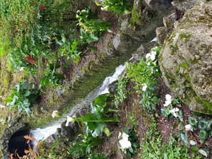 thumbnail: General view