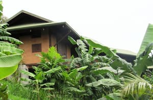 thumbnail: Garden