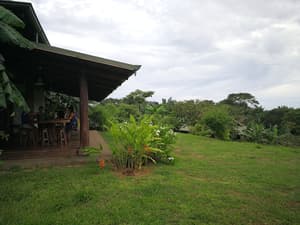 thumbnail: Garden