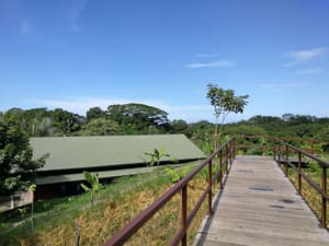thumbnail: Property grounds