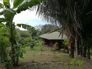 thumbnail: Property grounds