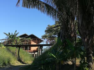 thumbnail: Property grounds