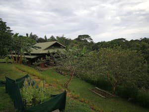 thumbnail: Property grounds