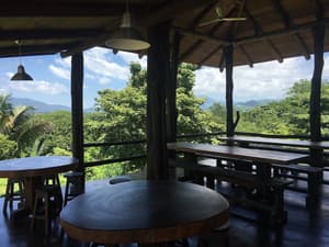 thumbnail: Interior