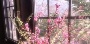 thumbnail: Interior detail