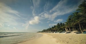 thumbnail: Beach
