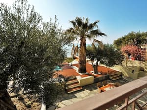 thumbnail: Garden view