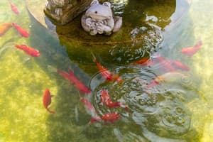 thumbnail: Fountain