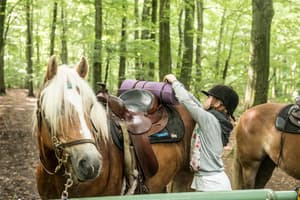 thumbnail: Horseback riding