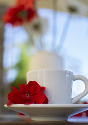 thumbnail: Cafe